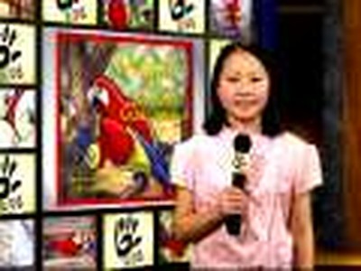 Maya, The Beautiful Macaw Book