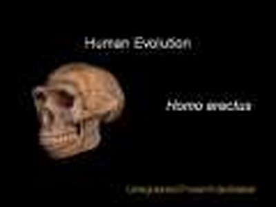 Top 10 List Why Anti-Evolutionists are WRONG