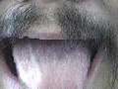 Lip Service