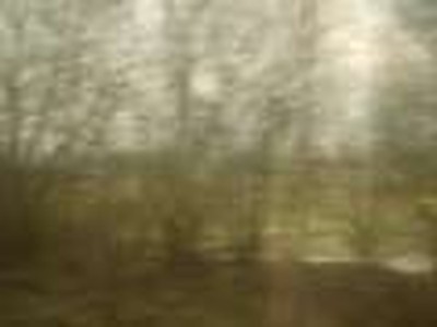 Beautiful Scotland Countryside 3
