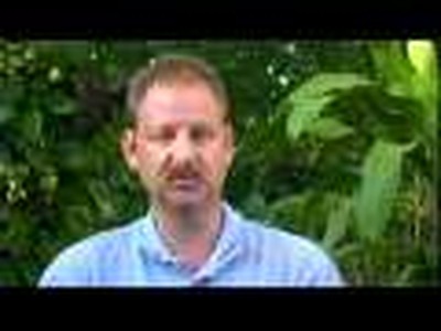 Good News In Action - Steve Curn Interview pt. 2