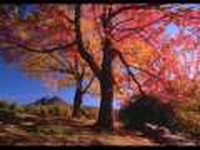 You - Jaci Velasquez