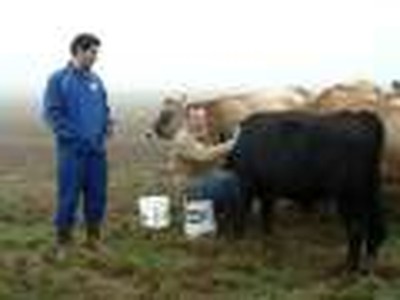 Dairy Farm - Perfect Weight America Tour