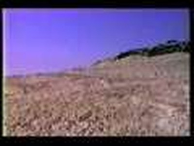 SODOM AND GOMORRHA