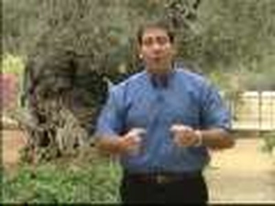 Gospel of the king 49-2