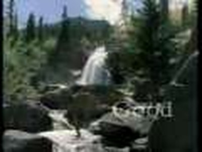 There is a Reason- Caedmon's Call Accompaniment DVD