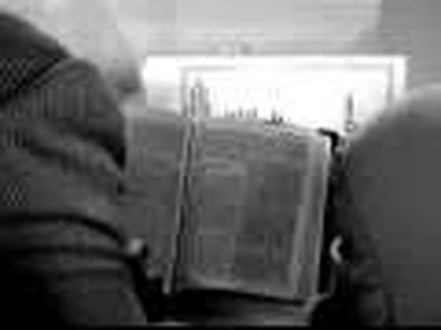 Bible Translation