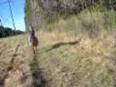 riding bareback at Bar J