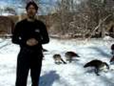 Jordan Rubin Video Blog - Poultry