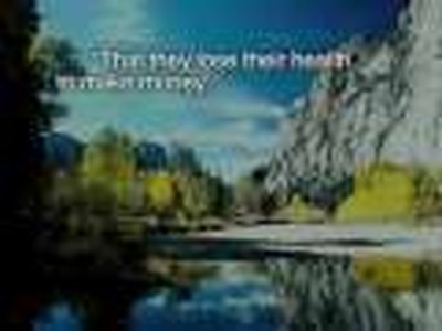 The Interview with God