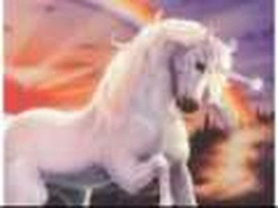 The Unicorn by John Abbott