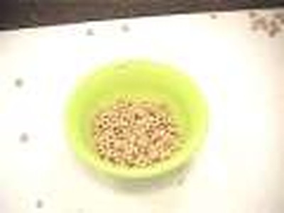 11 First Svc   Rules! Rules! Rules!