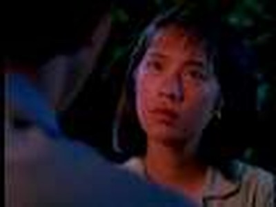 Bamboo in Winter (part 6)