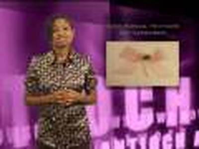 Antioch News Network April 13th, 2008