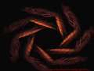 Dance and Worship Jesus