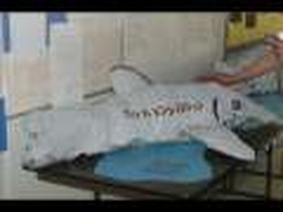 Native American Earth Spirituality: Menominee Tribe Sturgeon