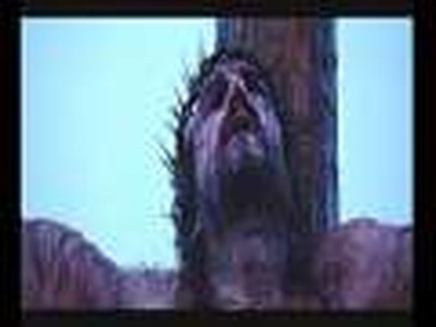 MIGUEL CASINA. EL VIVE