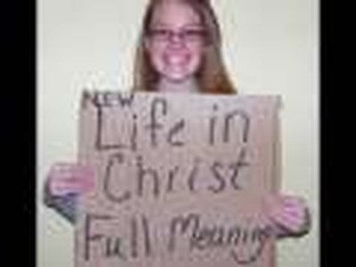 cardboard testimony