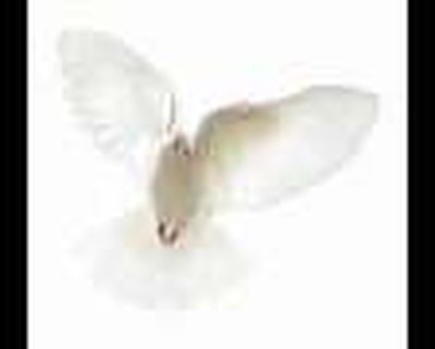 Baptism in the Spirit is Regeneration