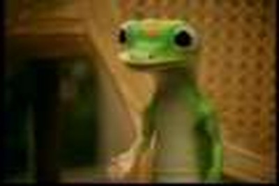 Geico Gecko Interview on Small Groups