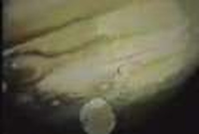 Adam, Come back to me my son.(revised version)