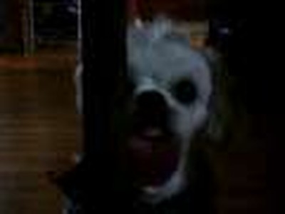 My window washer