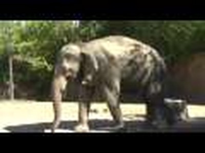 CMI Class video: Short Version