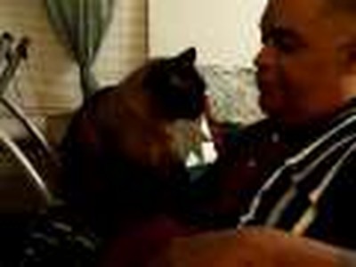Kneading Big Daddy