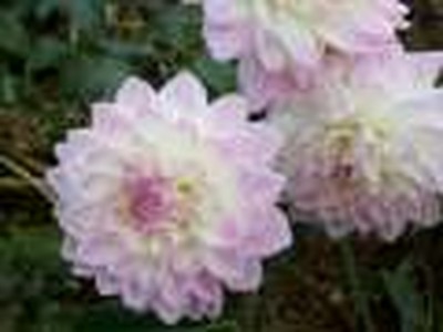 Here With Me by Mercy Me