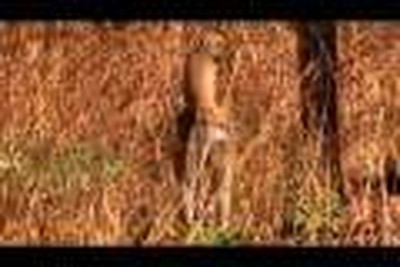 Tanzania Montage