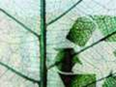 Z2R Goes Green