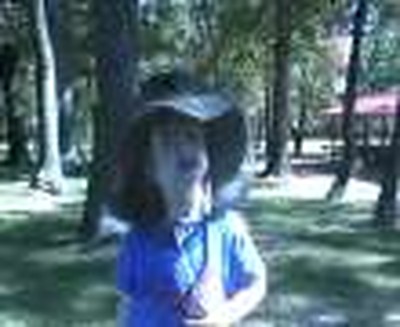 Austin the Bee collector