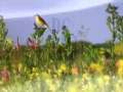 All Creation Gives Voice