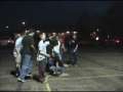 Turtles in the Amazon