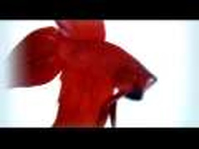 Dead Poetic - New Medicines