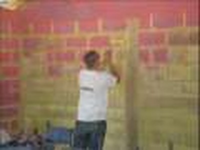 ICO Guatemala 2008