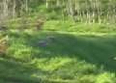 Coon Valley Park I