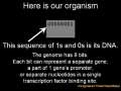 How evolution actually works