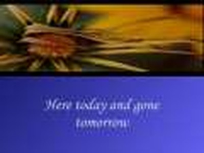Who Am I -- Casting Crowns