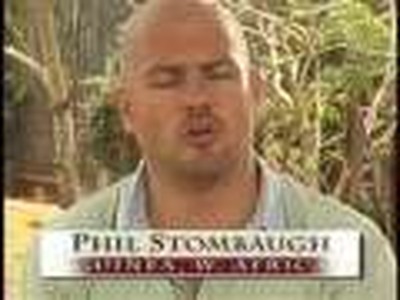 Call to Susu Ministry