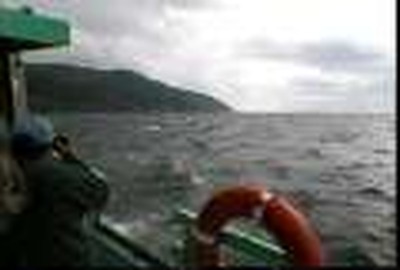 whales off the coast of Cape Breton part of God's creation