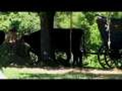 Wholesome Heroes: Johnny Appleseed