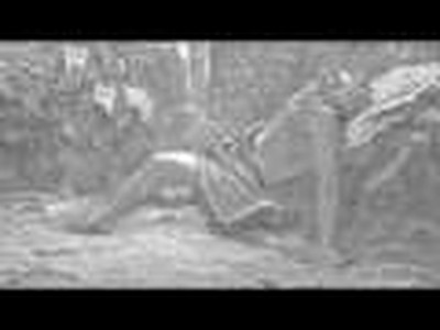 The Real Christmas Story (John MacArthur)