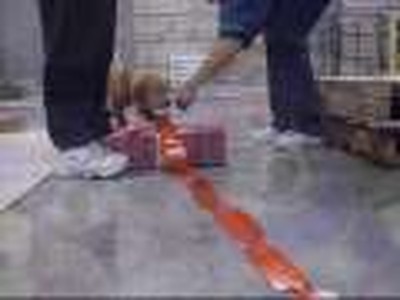 Fun puppy training photos and video