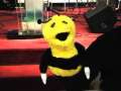 Mr bee dating video