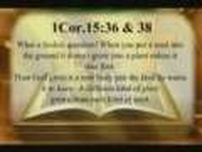 The Surrendered Sown Self 6