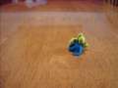 Battle Blobs