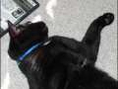 The History of Kingdom Hearts- Pt. 2 of 3