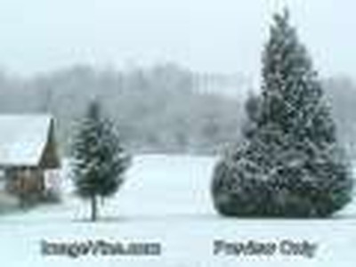 Winter 10