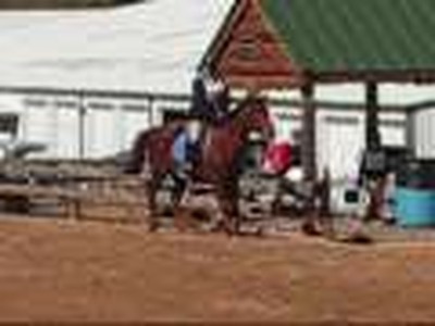 Neigh (Me) on Redd